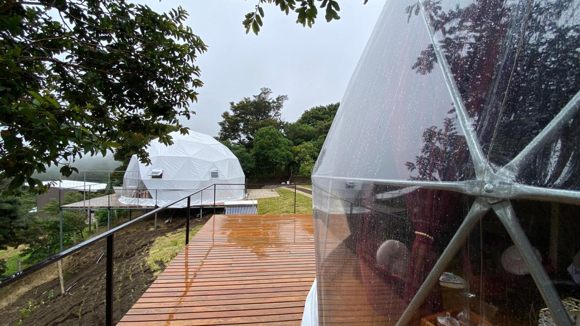 Feliza Rainforest Domes Monteverde Exteriör bild